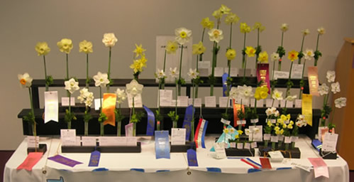 2016 Awards Table